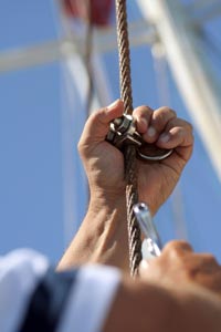 skipper